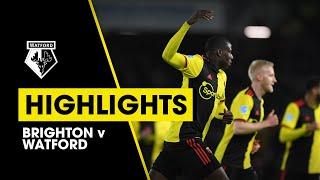 HIGHLIGHTS | BRIGHTON & HOVE ALBION 1-1 WATFORD