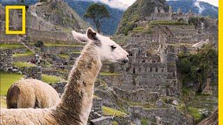 Journey Through Peru's Incredible Sights in 6 Minutes | Short Film Showcase