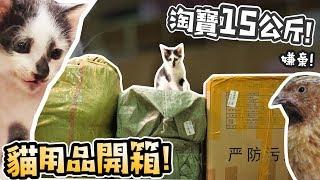 淘寶15公斤!貓用品開箱!貓鳥玩具!寵物太空背包!【許伯簡芝】 貓09