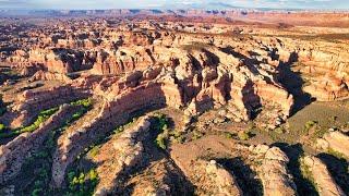 Discovering a Remote Desert Oasis Full of Ancient Ruins