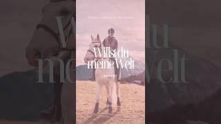 Meine Welt  #pferde #reiten #pferdevideo #holidayswithyoutube #cotico #shorts #pferdevlog