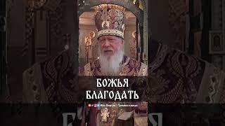 Божья благодать | еп. Августин (Анисимов)