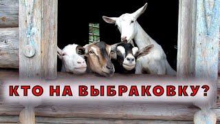 Позор поглотиловки - продается выбраковка