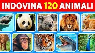 Indovina 120 Animali in 3 Secondi | Facile, Medio, Difficile, Impossibile