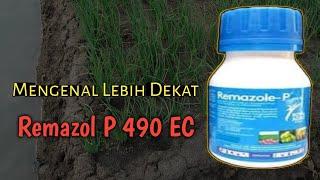 Mengenal Lebih Dekat Fungisida Ramazol P 490 EC