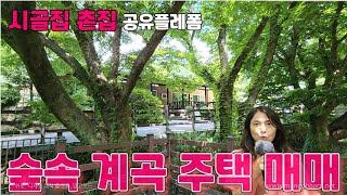 177호 경북 봉화군 오전약수터 마을 선달산 아래 계곡옆 주택 매매 전국 최고의 약수물로 유명한 마을