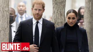 Prinz Harry und Herzogin Meghan - Enthüllungen im TV: Sie zittern vor neuer ZDF-Doku