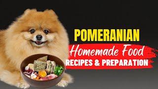 Homemade Food For Pomeranians | Recipes And Preparation Method | Dogs Genesis | @DogsGenesis