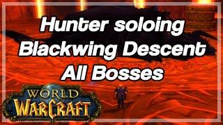 [World of Warcraft] Hunter soloing Blackwing Descent, All Bosses