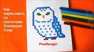 Полярная Сова Как рисовать по клеточкам Пиксель How to draw Polar Owl Pixel Art