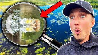 Exploring HUGE SHALLOW SWAMP - Topwater Fishing | Team Galant