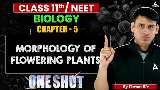 Morphology of Flowering Plants Class 11 ONE SHOT | Complete Chapter in One Video | Param Sir