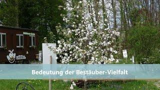 Bedeutung der Bestäuber-Vielfalt