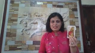 Dhanu Rashi (Sagittarius) Hindi Tarot Advice