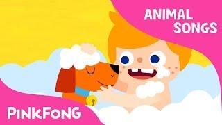 My Pet, My Buddy | Animal Songs | Pinkfong Songs for Children