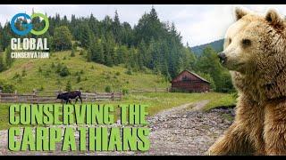 Conserving the Carpathians