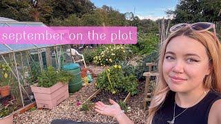 Autumn Clean Up Begins & September Plot Tour! Allotment Vlog  Ep.36 