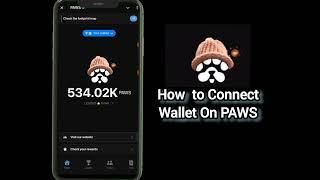 Paws Airdrop Claim - How To Withdraw Paws To Exchange? | How to connect Solana Wallet