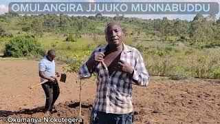 Buno bwe bulamu jajja bweyanonderawo - Omulangira Jjuuko Munnabuddu