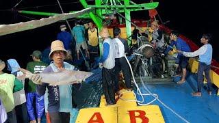 Aktivitas Nelayan saat ditengah Laut‼️Dari Mancing Sampai cara Menangkap Ikan Di Tengah Laut