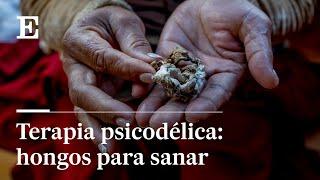 Terapia psicodélica: hongos alucinógenos contra la depresión