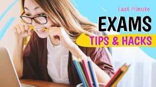 Golden Rule To Crack Any Exam | Smart Study Techniques