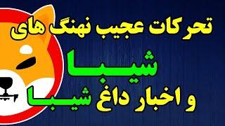 حرکت عجیب نهنگ شیبا - لیست شدن ارز دیجیتال شیبا در یک صرافی دیگر