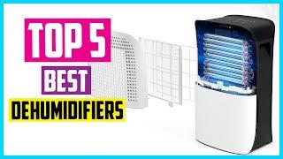 Top 5 Best Dehumidifiers 2021 Reviews