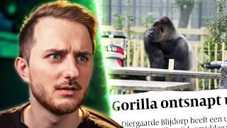 Het Bizarre Verhaal van BOKITO | egbert reacting