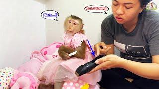 Mom... why??? Monkey Lyly was disappointed while excitedly cutting her hair and the truth behind...