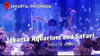 Jakarta Aquarium and Safari | The Underwater World [4K]| Eileen Leizel