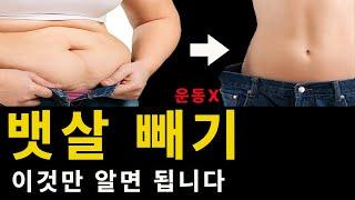 뱃살 빼는 방법 중 간헐적 단식이 최고인 이유 (살 안 빠지는 이유 확인 실험)