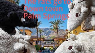 The rats go to down town Palm Springs