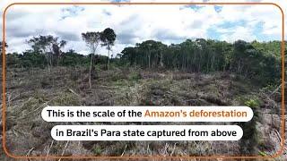 Drone footage shows deforestation in Brazilian Amazon