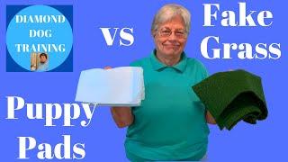 Puppy Pads vs Fake Grass For Indoor Potty Training/ Which Is Best
