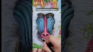 #раскрашивание #drawing #kerbyrosanes #колоринг #какраскрасить #раскрашиваемвместе #coloringbook