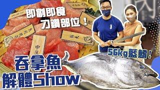 【私心推介】即劏即食吞拿魚稀有部位刺身、魚骨髓都試埋！最好食唔係大拖？56kg日本藍鰭吞拿魚解體workshop－連魚生飯午餐！｜本マグロ｜本鮪｜吞拿魚解體show｜＠豐鮪