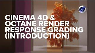 - Cinema 4D & Octane Render Color Response Grading Introduction