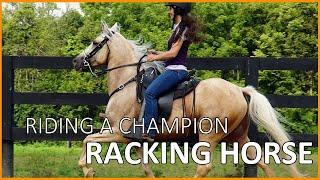 Riding a Champion Speed Racking Horse! | DiscoverTheHorse [Episode #50]