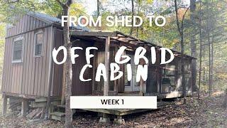 Woody's Off Grid Cabin WEEK 1, turning a hunting shed into a full time living off grid cabin