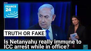 France says Netanyahu is 'immune' to the ICC's arrest warrant. We did a legal deep dive