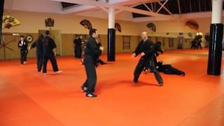 Kung Fu San Soo Academy Germany  ( Black Belt Workout )