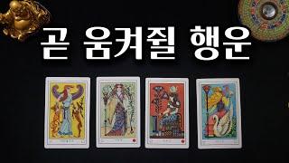 [타로운세] 곧 움켜쥘 행운!! #tarot