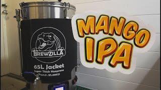 Brewing A Mango IPA: Part 1 (Mesk, Cooking and fermenting)