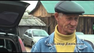 Ярмарка с х