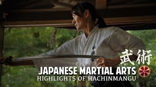 Iaido Demonstration Japanese Sword Martial Arts Highlights