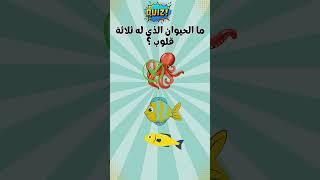 للاذكياء فقط | ما هو الحيوان #خمن #الحيوانات #الغاز_صعبة_للاذكياء
