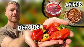 3 Awesome Ways to Use HOT Homegrown Peppers ️