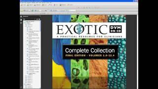 Complete Collection - Exotic DVM on CD, Final Edition