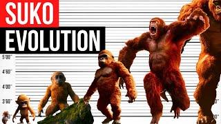 Evolution Of Suko | Life Cycle